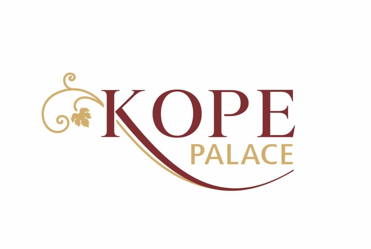 Kope Palace 트빌리시 외부 사진